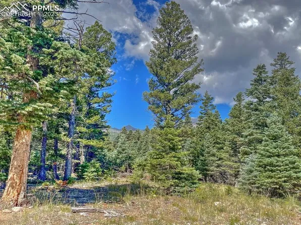 69 Gibson Rd, Westcliffe, CO 81252