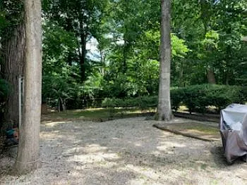 1207 Patricia Ave — Photo 4