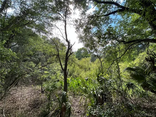 12972-12994 E Shawnee Trl, Inverness, FL 34450