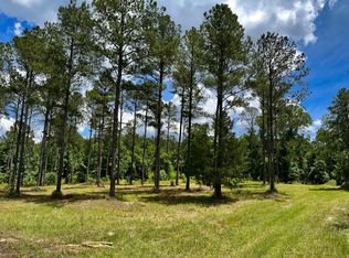 0 Mount Pleasant Rd, Buena Vista, GA 31803