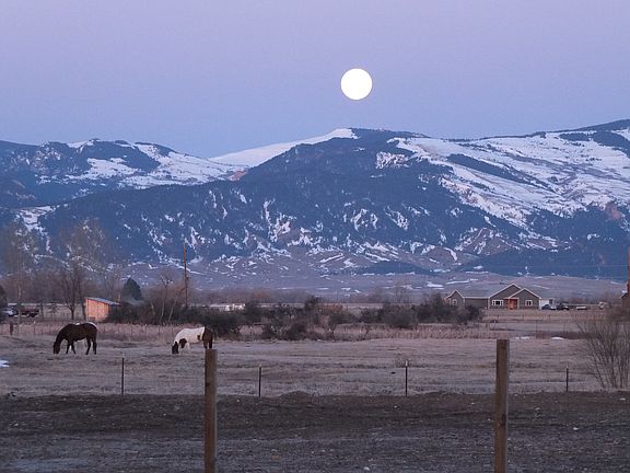 View from back yard