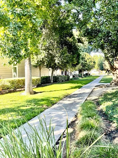 Westdale Commons Landscaping