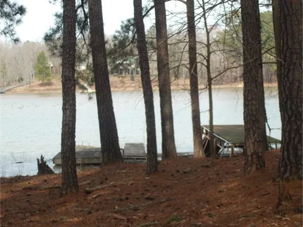 610 Cherry Island Rd, Buchanan, TN 38222