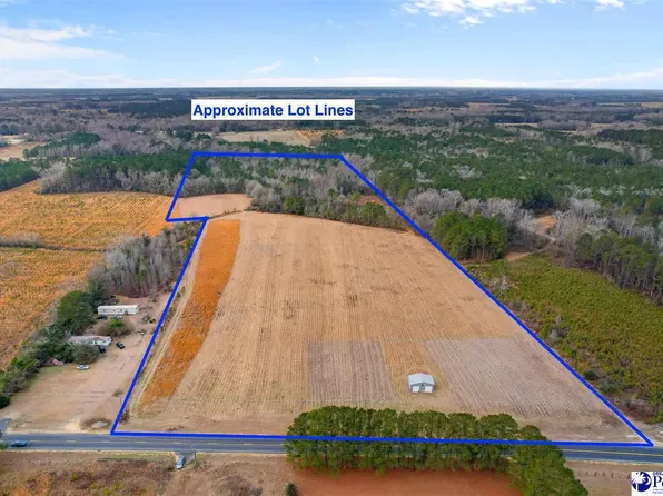 1133 Cale Yarborough Hwy, Timmonsville, SC 29161