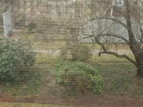 4th image of 243 Greenbrook Dr #243