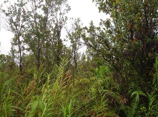 11 3231st #23, Volcano, HI 96785