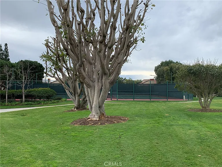 311 Stanford Ct — Photo 19