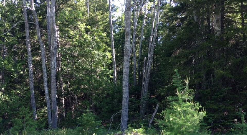 1st image of Lot 56-1 Number 9 Road