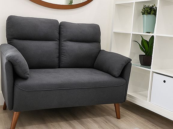Comfy couch for lounging and everyday relaxation.