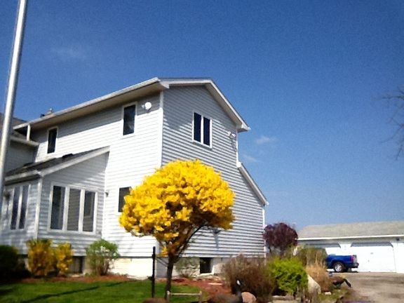 Beautiful blooms along driveway