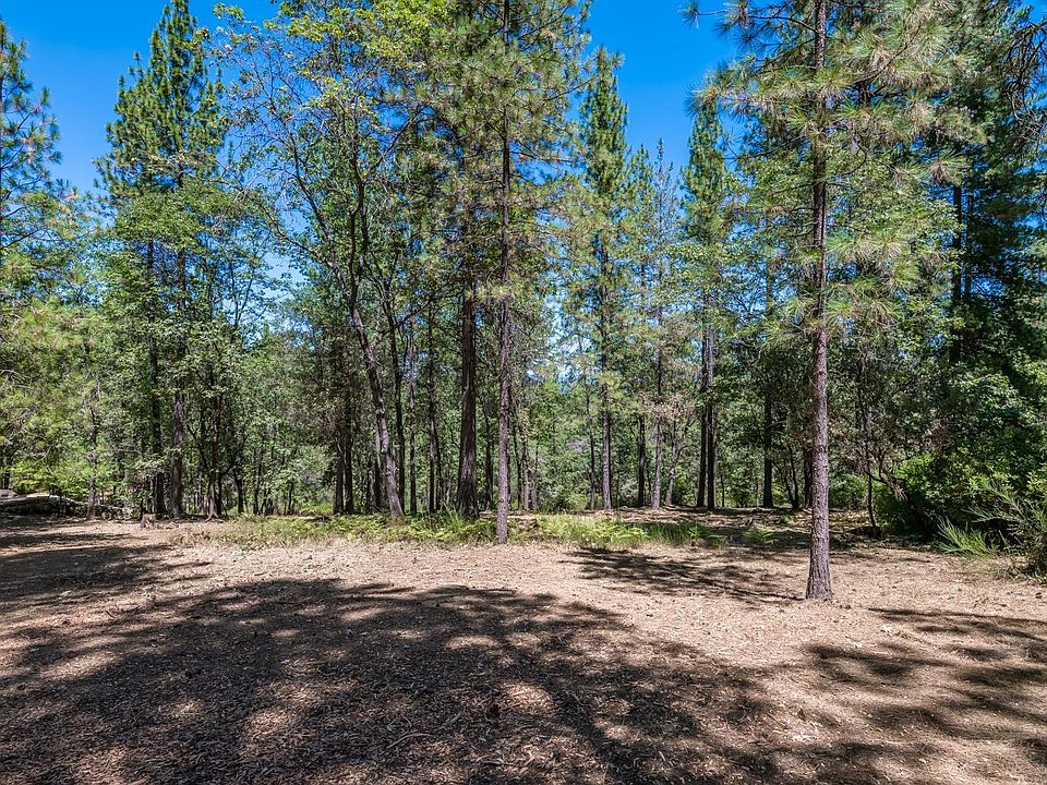 2nd image of 1378 Shady Tree Ln