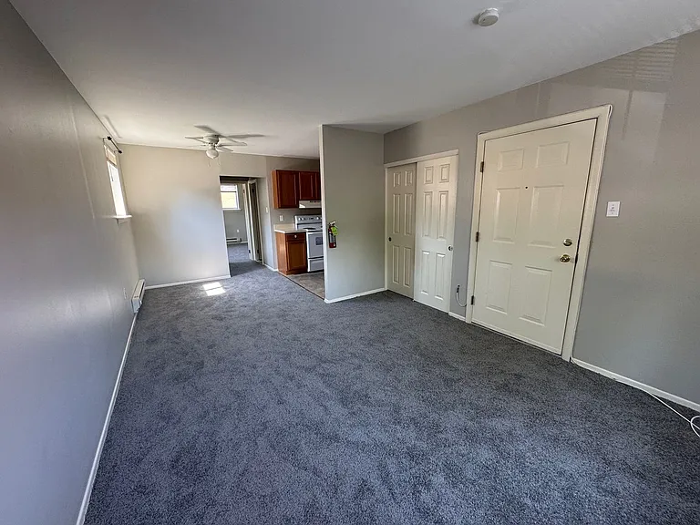 203 E Chestnut Street — Photo 4