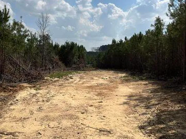 0 Honeysucker Rd, Camden, MS 39045