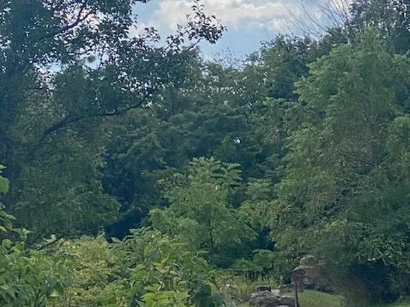 Talcott Ave, Frostburg, MD 21532