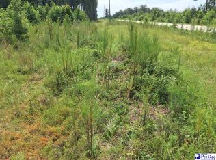 860 Roy Shaw Rd, Chesterfield, SC 29709