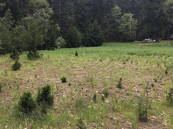 5th image of 4931 Meadow Glen Dr Lot 4941