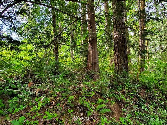 3rd image of 132 -133 Lot N Potlatch Road