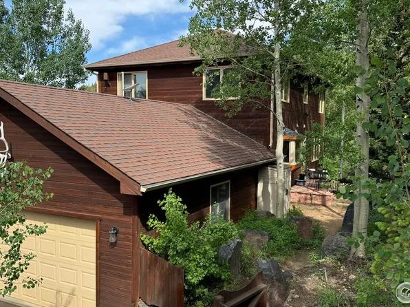 299 Alpine Dr, Nederland, CO 80466