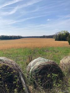 0 Carthage Rd, Dixon, MO, 65459