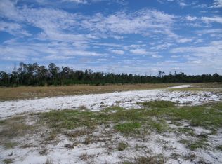 0 Black Lake Rd #6, Osteen, FL 32764