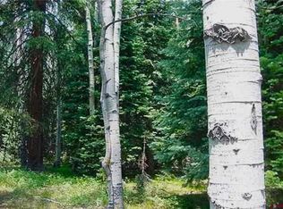 703 Wildflower Dr, Cimarron, CO 81220