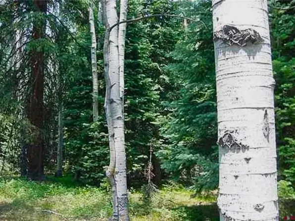 703 Wildflower Drive, Cimarron, CO 81220