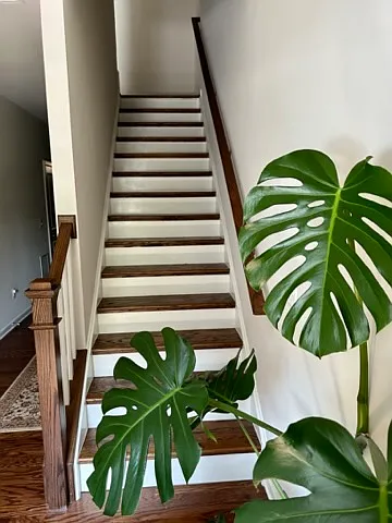 4 bed, 3.5 bath, 2358 sqft, $3,000 — Photo 2