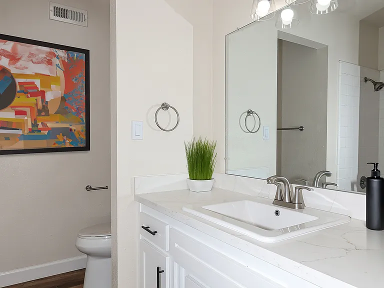 2x2 Remodel Hall Bath