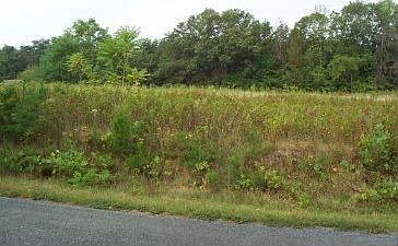 2nd image of 25 Lake Park Dr