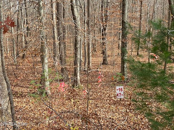 5th image of 15 & 16 Evergreen Dr