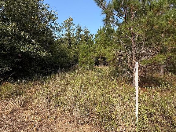 4th image of 0 S Bartow Rd