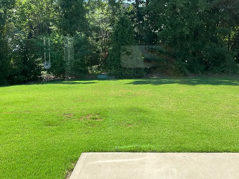 459 Summer Ranch Dr — Photo 35