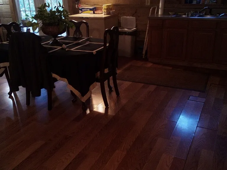 231 Oak Tree Dr — Photo 3