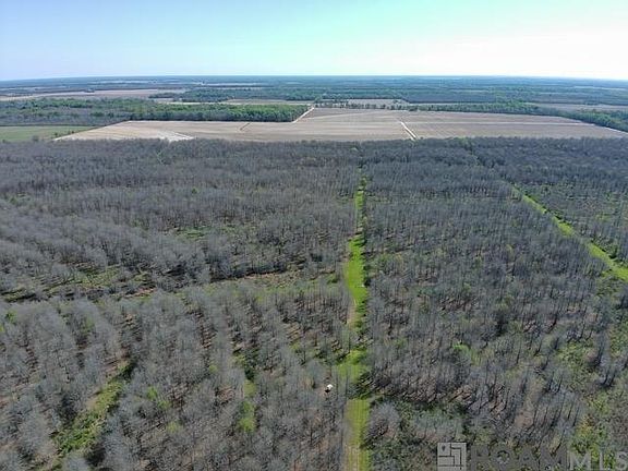 4th image of Ellis Ln