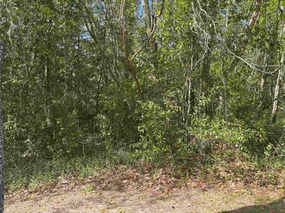 James Duhard Way, Tallahassee, FL, 32308