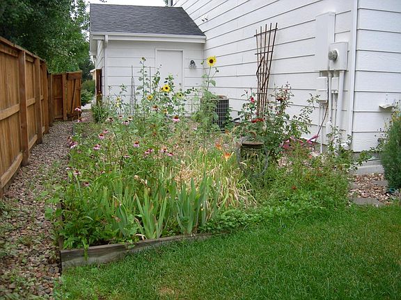 backyard garden