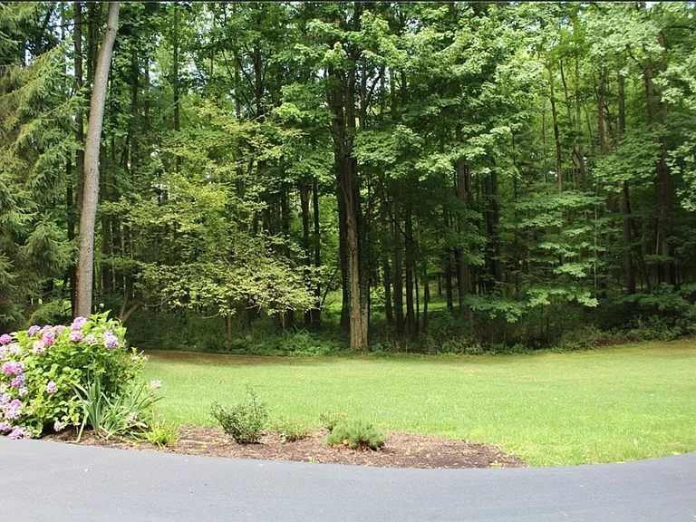 7217 Pine Tree Ct — Photo 43