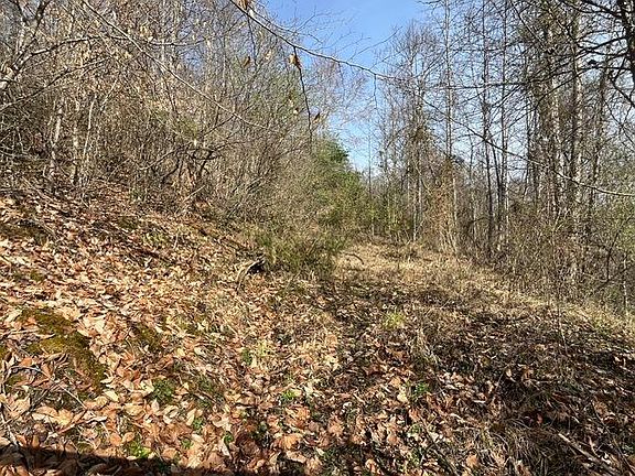 2nd image of 326 Earl Crisp Rd