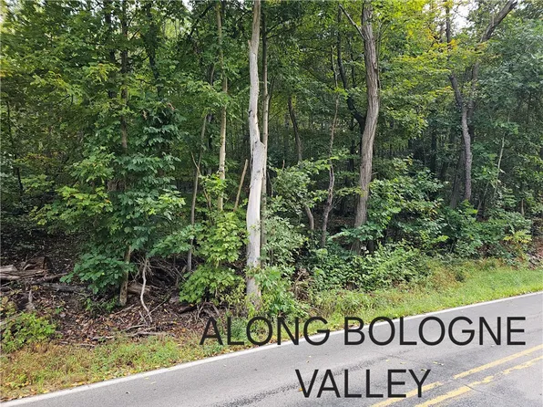 0 Bologne Valley Rd N, Beaver Falls, PA 15010
