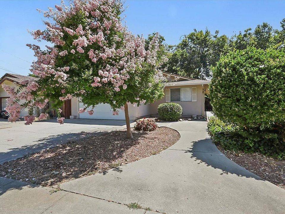 Flowers In Yuba City California Best Flower Site