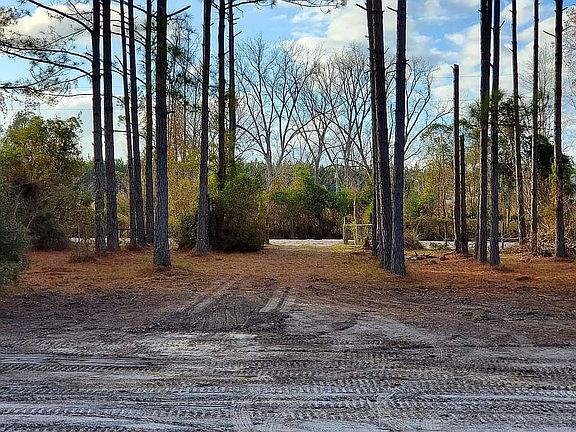 View from future home site