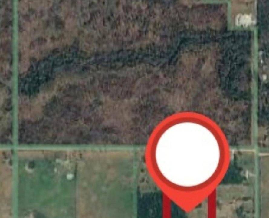 2nd image of 154 Snapdragon