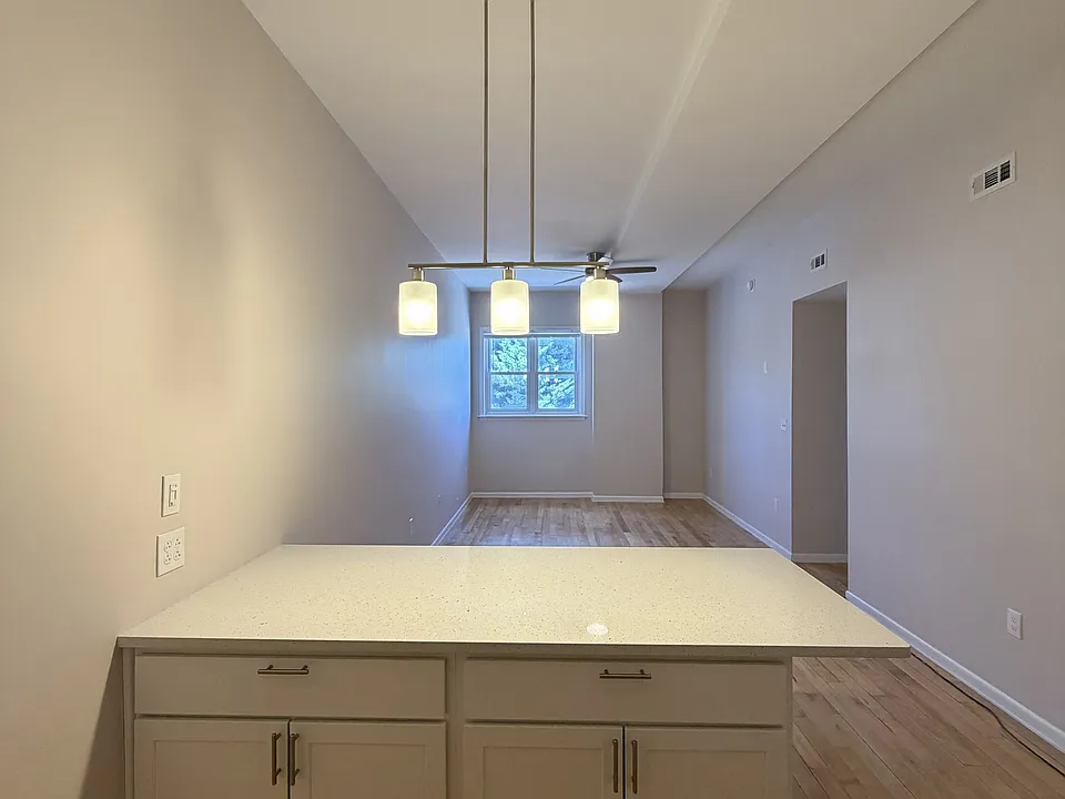 203 W Caracas Ave #5