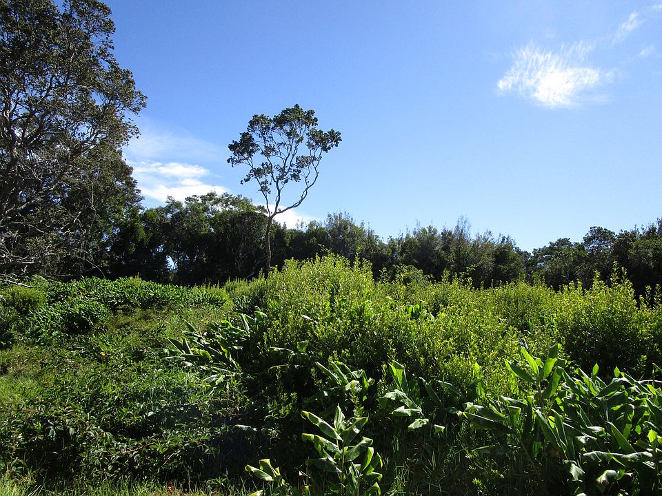 1st image of Pukeawe Cir Lot 240