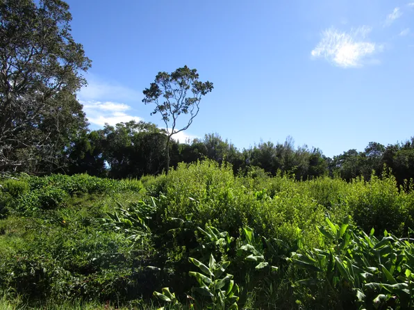 Pukeawe Cir Lot 240, Hawaii National Park, HI 96718