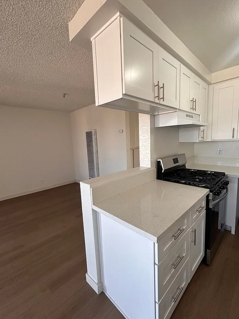 4513w — Photo 2