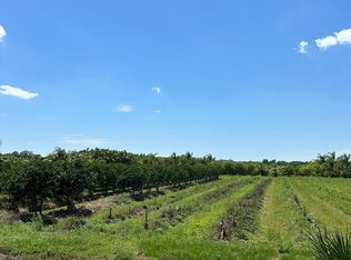 Elm St, Oviedo, FL 32765