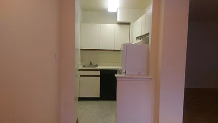 Rented by Manhattan Apartment Organization