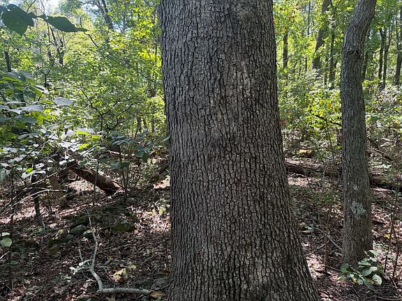 3rd image of 0 Mount Tabor Rd
