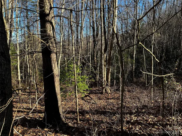 Big Cove Rd, Waynesville, NC 28786